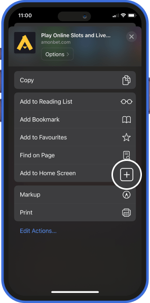 Step 2: Add to home screen option